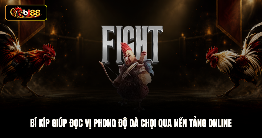 Bí kíp giúp đọc vị phong độ gà chọi qua nền tảng online