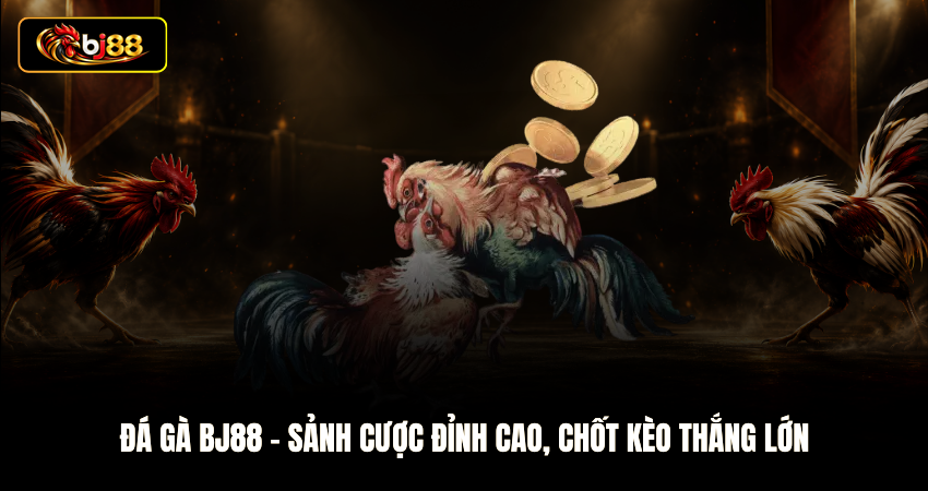 Đá Gà BJ88 - Sảnh Cược Đỉnh Cao, Chốt Kèo Thắng Lớn