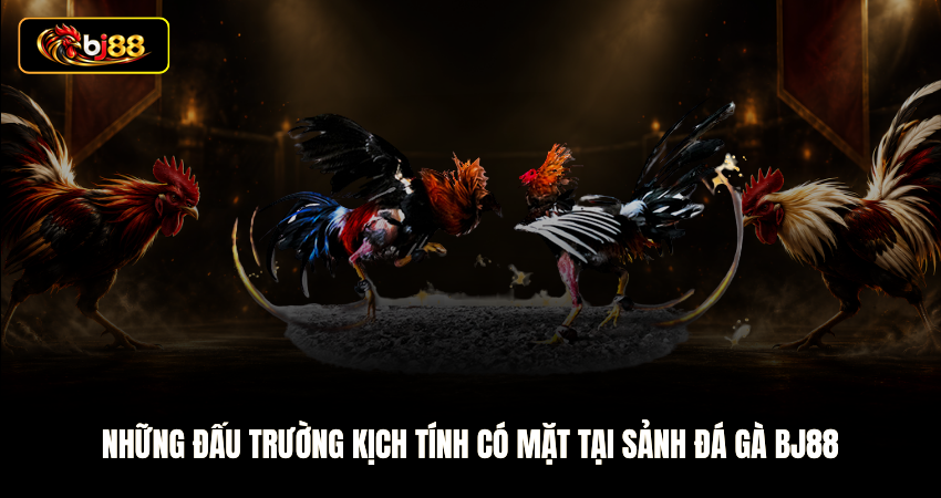 Những đấu trường kịch tính có mặt tại sảnh Đá gà BJ88