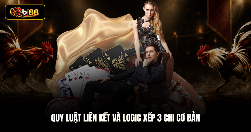 Quy luật liên kết và logic xếp 3 chi cơ bản