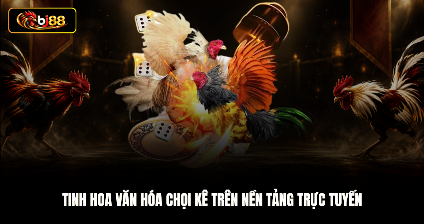 Tinh hoa văn hóa chọi kê trên nền tảng trực tuyến