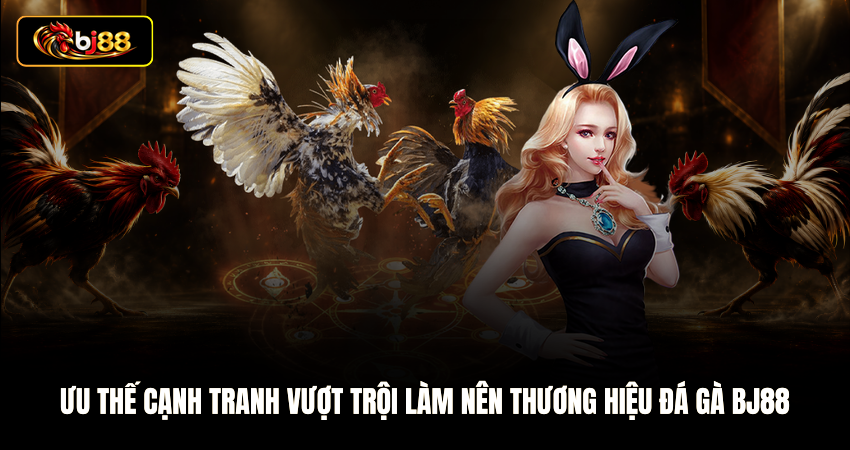Ưu thế cạnh tranh vượt trội làm nên thương hiệu Đá gà BJ88